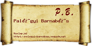 Palágyi Barnabás névjegykártya