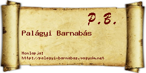 Palágyi Barnabás névjegykártya