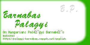 barnabas palagyi business card